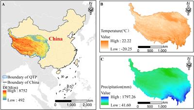 Multiple pressures and vegetation conditions shape the spatiotemporal variations of ecosystem services in the Qinghai-Tibet Plateau